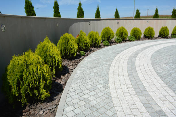 Reasons to Select Us for Your Driveway Paving Requirements in Cleburne, TX